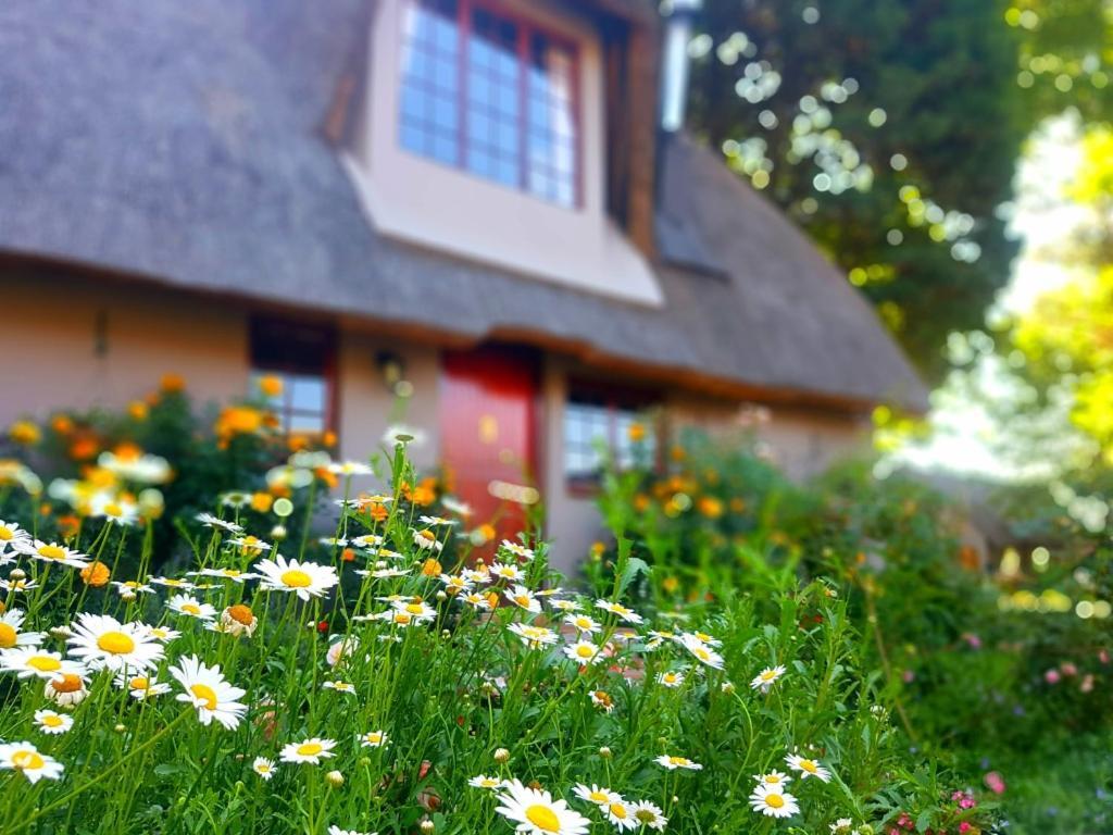 Granny Mouse Country House & Spa Balgowan Esterno foto